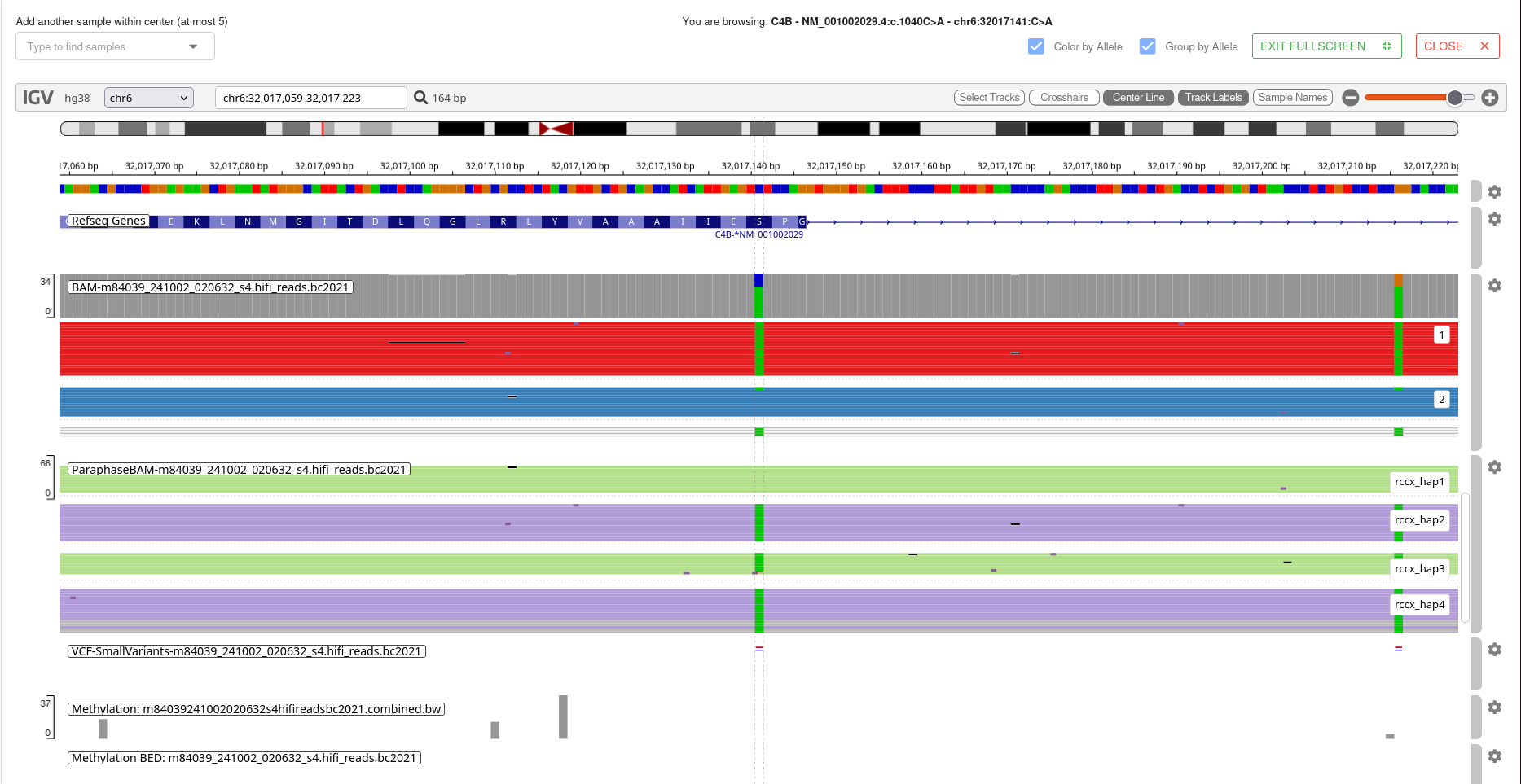 IGV haplotype coloring and grouping by allele