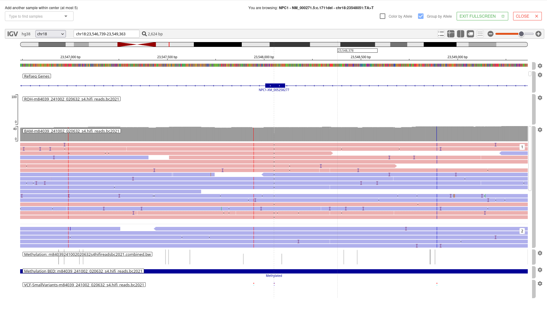 IGV methylation BED track and MethBat regions