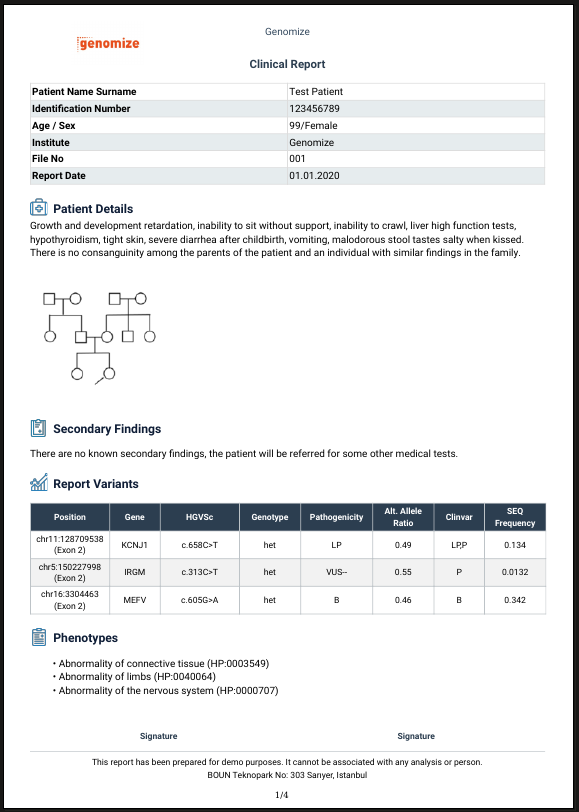 Report example 2